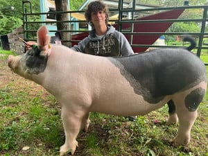 Student posing with his fair hog project