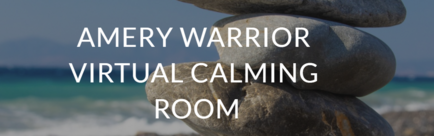 Amery Warrior Virtual Calming Room with stacked rocks in the background