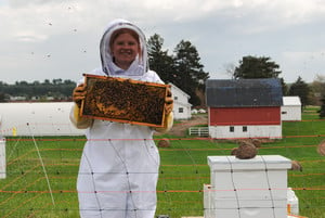 Students learning about honey bees